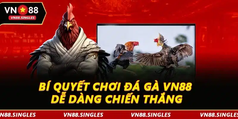Bí quyết chơi đá gà VN88 dễ dàng chiến thắng