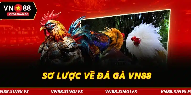 Sơ lược về đá gà VN88